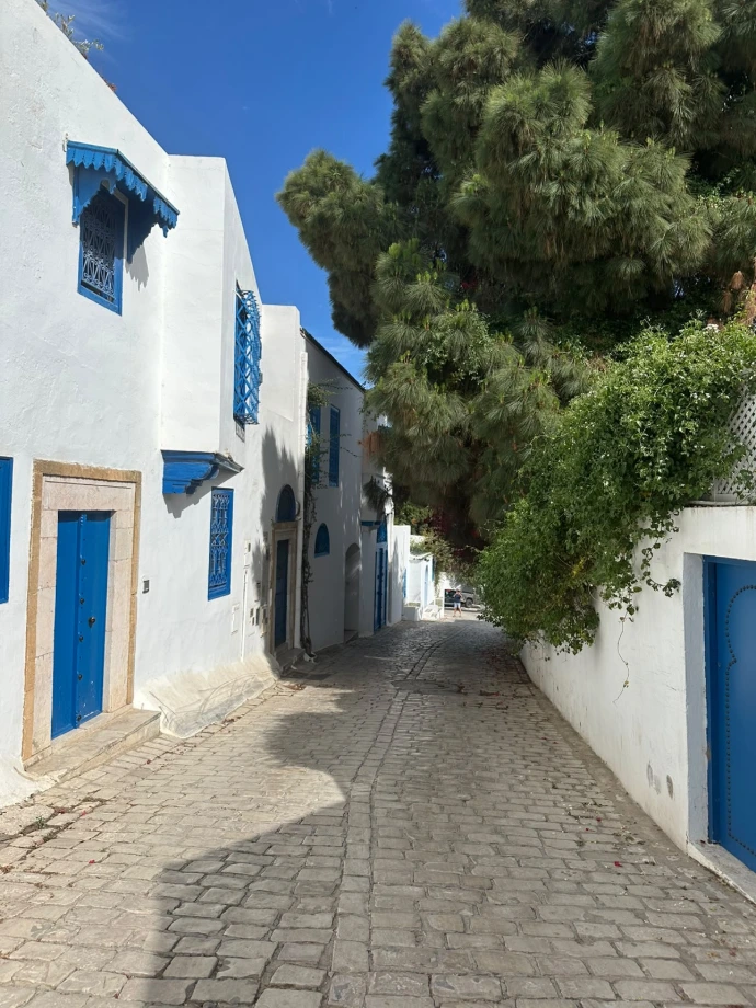 Sidi Bou Said Tunisie le village bleu